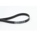 Correa trapecial poli V - CONTITECH-6PK1613