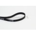 Correa trapecial poli V - CONTITECH-6PK1642