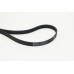 Correa trapecial poli V - CONTITECH-6PK1670