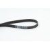 Correa trapecial poli V - CONTITECH-6PK1705