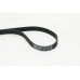 Correa trapecial poli V - CONTITECH-6PK1733