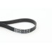 Correa trapecial poli V - CONTITECH-6PK1740