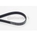 Correa trapecial poli V - CONTITECH-6PK1780