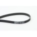 Correa trapecial poli V - CONTITECH-6PK1795