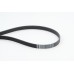 Correa trapecial poli V - CONTITECH-6PK2490