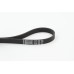 Correa trapecial poli V - CONTITECH-6PK906
