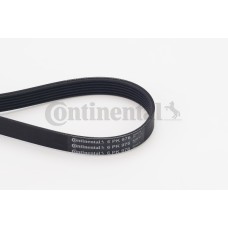 Correa trapecial poli V - CONTITECH-6PK976 Correa trapecial poli V - CONTITECH-6PK976
