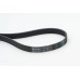Correa trapecial poli V - CONTITECH-7PK1035