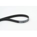 Correa trapecial poli V - CONTITECH-7PK1104