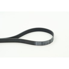 Correa trapecial poli V - CONTITECH-7PK1570 Correa trapecial poli V - CONTITECH-7PK1570