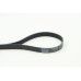 Correa trapecial poli V - CONTITECH-7PK1570