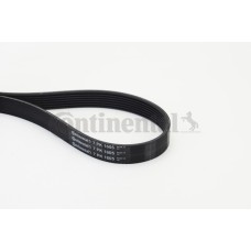 Correa trapecial poli V - CONTITECH-7PK1605 Correa trapecial poli V - CONTITECH-7PK1605