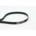Correa trapecial poli V - CONTITECH-7PK1795
