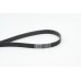 Correa trapecial poli V - CONTITECH-7PK2061