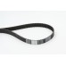 Correa dentada - CONTITECH-CT1006
