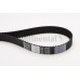 Correa dentada - CONTITECH-CT1015