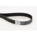 Correa dentada - CONTITECH-CT1028