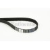Correa dentada - CONTITECH-CT1037