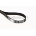 Correa dentada - CONTITECH-CT1049