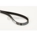 Correa dentada - CONTITECH-CT1066