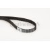 Correa dentada - CONTITECH-CT1077 Correa dentada - CONTITECH-CT1077