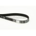 Correa dentada - CONTITECH-CT1101