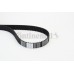 Correa dentada - CONTITECH-CT1117 Correa dentada - CONTITECH-CT1117