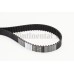 Correa dentada - CONTITECH-CT1244