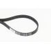 Correa dentada - CONTITECH-CT1245 Correa dentada - CONTITECH-CT1245