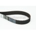 Correa dentada - CONTITECH-CT748