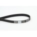 Correa dentada - CONTITECH-CT794 Correa dentada - CONTITECH-CT794
