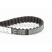 Correa dentada - CONTITECH-CT800