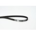 Correa dentada - CONTITECH-CT805