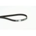 Correa dentada - CONTITECH-CT871