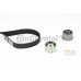 Juego de correas dentadas - CONTITECH-CT1085K1