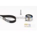 Juego de correas dentadas - CONTITECH-CT1094K1