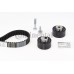 Juego de correas dentadas - CONTITECH-CT1100K2