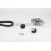 Bomba de agua + kit correa distribución - CONTITECH-CT1142WP1