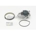 Bomba de agua + kit correa distribución - CONTITECH-CT1143WP1