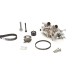 Bomba de agua + kit correa distribución - CONTITECH-CT1167WP6PRO Bomba de agua + kit correa distribución - CONTITECH-CT1167WP6PRO