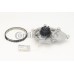 Bomba de agua + kit correa distribución - CONTITECH-CT1195WP1 Bomba de agua + kit correa distribución - CONTITECH-CT1195WP1