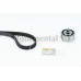 Juego de correas dentadas - CONTITECH-CT744K1