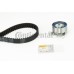 Juego de correas dentadas - CONTITECH-CT866K1