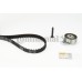 Juego de correas dentadas - CONTITECH-CT874K1 Juego de correas dentadas - CONTITECH-CT874K1