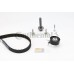 Juego de correas dentadas - CONTITECH-CT881K5