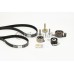 Juego de correas dentadas - CONTITECH-CT901K3