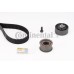 Juego de correas dentadas - CONTITECH-CT920K1