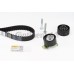 Juego de correas dentadas - CONTITECH-CT955K2