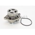 Bomba de agua, refrigeración del motor - CONTITECH-WP6004