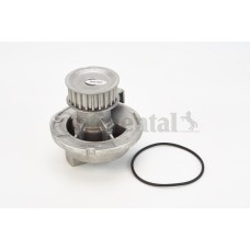 Bomba de agua, refrigeración del motor - CONTITECH-WP6021